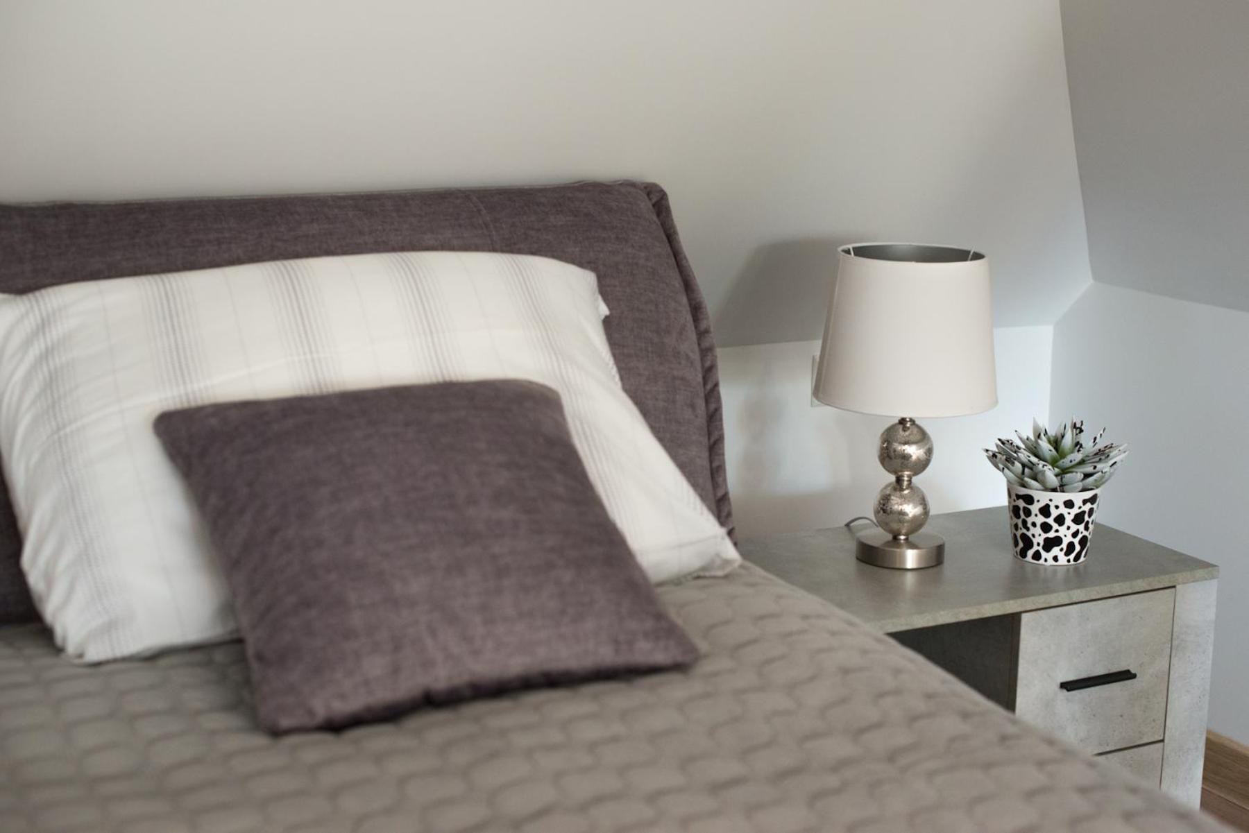 Petro Delux Apartments Kowno Zewnętrze zdjęcie