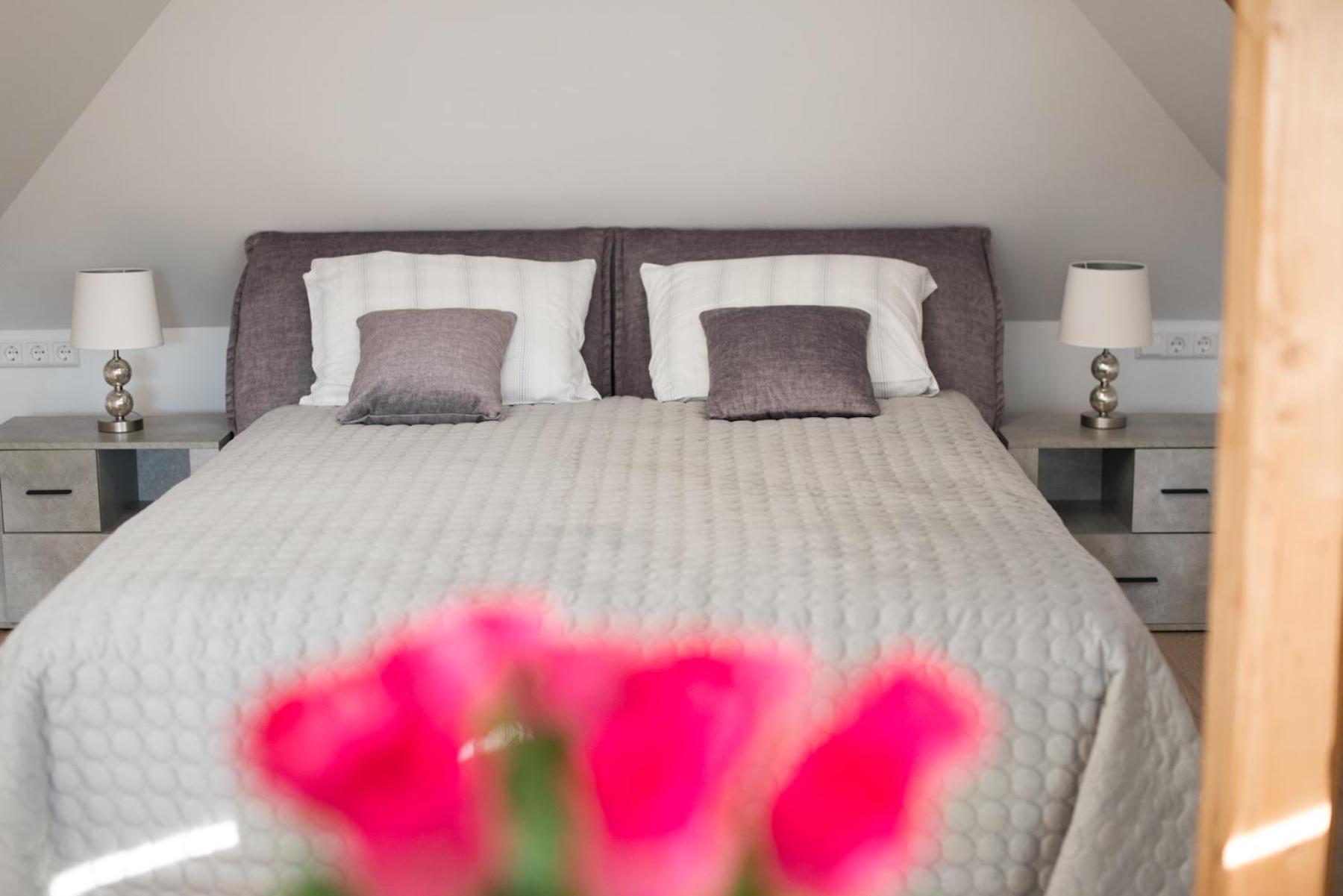 Petro Delux Apartments Kowno Zewnętrze zdjęcie